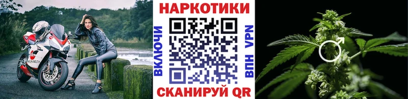 Где купить наркотики Звенигово ГАШИШ Cocaine Амфетамин Галлюциногенные грибы Мефедрон Марихуана